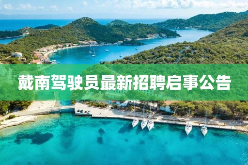 戴南驾驶员最新招聘启事公告