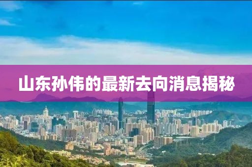 山东孙伟的最新去向消息揭秘