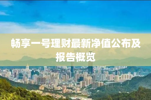 畅享一号理财最新净值公布及报告概览