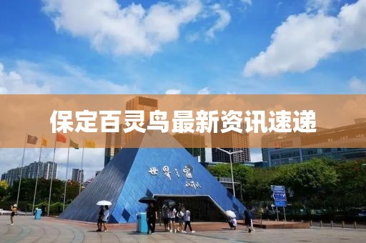 保定百灵鸟最新资讯速递