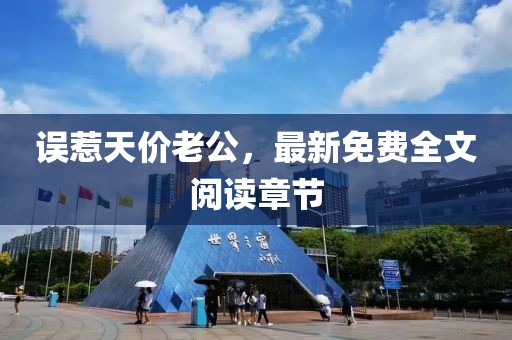 误惹天价老公，最新免费全文阅读章节