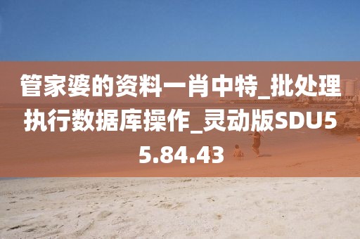 管家婆的资料一肖中特_批处理执行数据库操作_灵动版SDU55.84.43