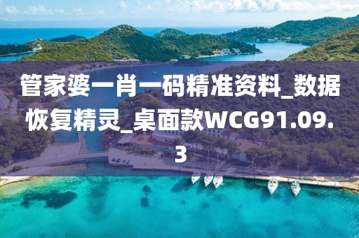 管家婆一肖一码精准资料_数据恢复精灵_桌面款WCG91.09.3
