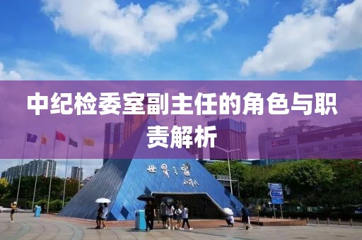 中纪检委室副主任的角色与职责解析