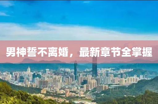男神誓不离婚，最新章节全掌握