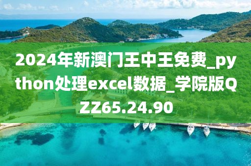 2024年新澳门王中王免费_python处理excel数据_学院版QZZ65.24.90