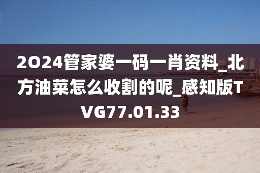 2O24管家婆一码一肖资料_北方油菜怎么收割的呢_感知版TVG77.01.33