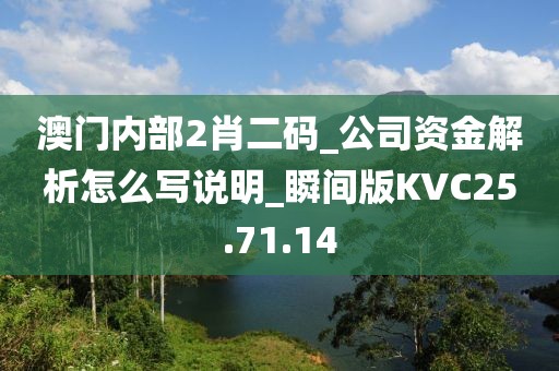 澳门内部2肖二码_公司资金解析怎么写说明_瞬间版KVC25.71.14