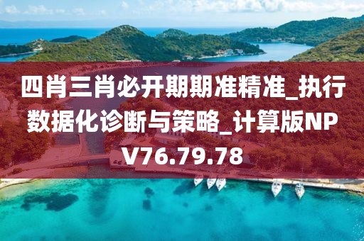 四肖三肖必开期期准精准_执行数据化诊断与策略_计算版NPV76.79.78
