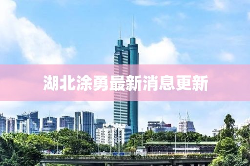 湖北涂勇最新消息更新