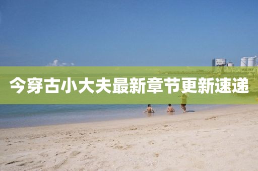 今穿古小大夫最新章节更新速递