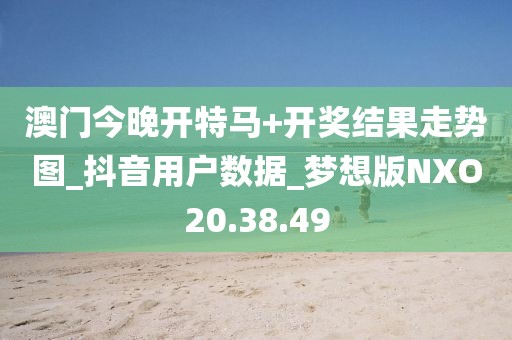 两把枪闯天下 第48页