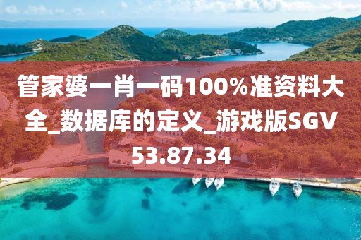 管家婆一肖一码100%准资料大全_数据库的定义_游戏版SGV53.87.34