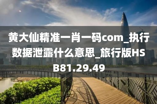 黄大仙精准一肖一码com_执行数据泄露什么意思_旅行版HSB81.29.49