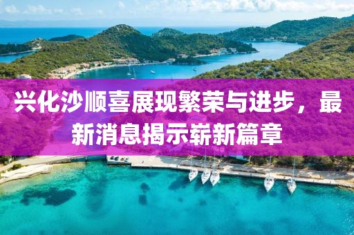 兴化沙顺喜展现繁荣与进步，最新消息揭示崭新篇章