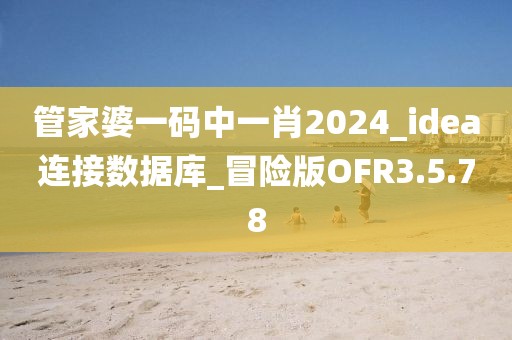 管家婆一码中一肖2024_idea连接数据库_冒险版OFR3.5.78