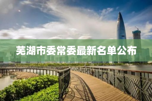芜湖市委常委最新名单公布