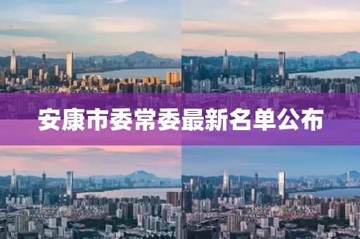 安康市委常委最新名单公布