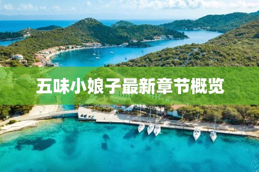 五味小娘子最新章节概览