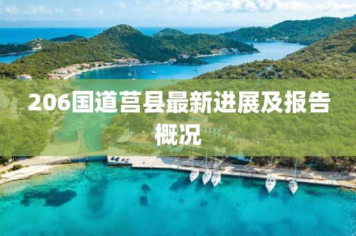 206国道莒县最新进展及报告概况