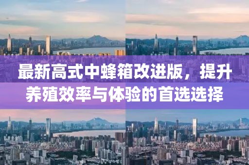 最新高式中蜂箱改进版，提升养殖效率与体验的首选选择
