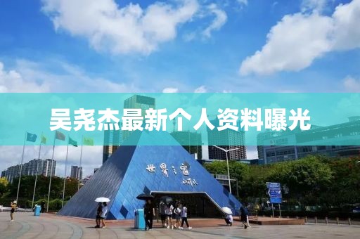 吴尧杰最新个人资料曝光