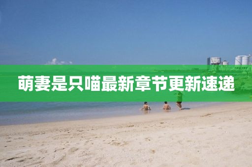 妃墨 第45页