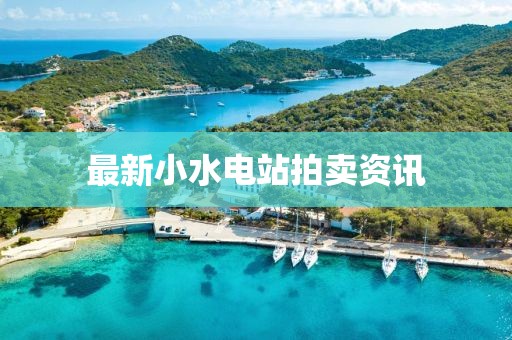 最新小水电站拍卖资讯
