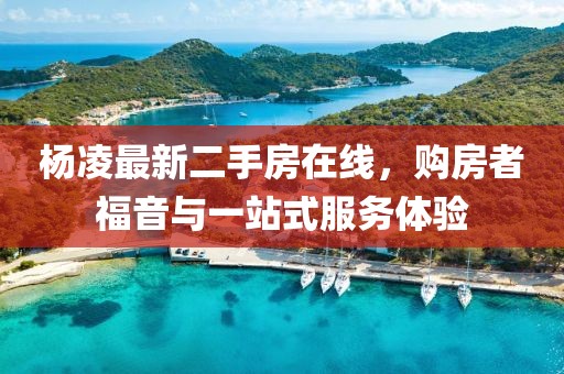 云中娇凤 第42页