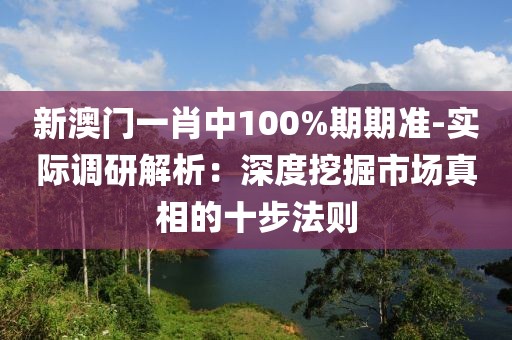 新澳门一肖中100%期期准-实际调研解析：深度挖掘市场真相的十步法则