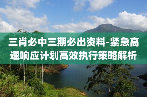 三肖必中三期必出资料-紧急高速响应计划高效执行策略解析