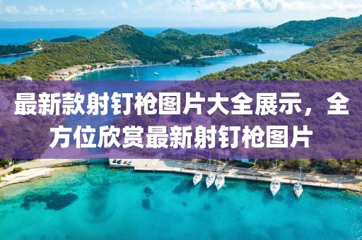 最新款射钉枪图片大全展示，全方位欣赏最新射钉枪图片