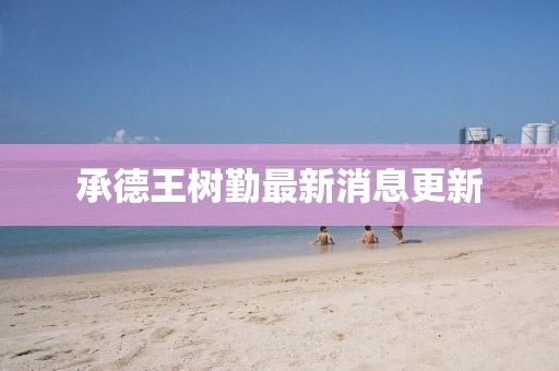 承德王树勤最新消息更新