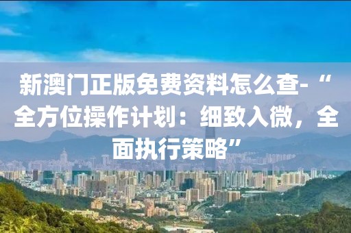 新澳门正版免费资料怎么查-“全方位操作计划：细致入微，全面执行策略”