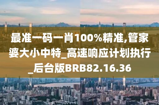 最准一码一肖100%精准,管家婆大小中特_高速响应计划执行_后台版BRB82.16.36