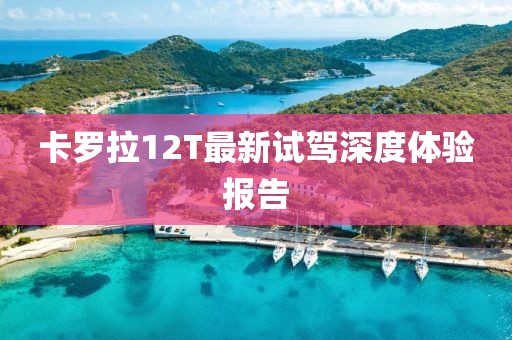 卡罗拉12T最新试驾深度体验报告