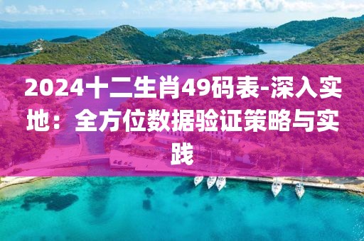 2024十二生肖49码表-深入实地：全方位数据验证策略与实践