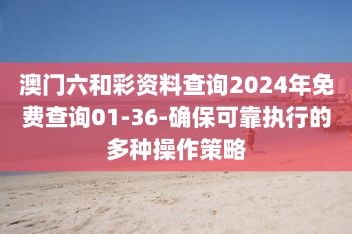澳门六和彩资料查询2024年免费查询01-36-确保可靠执行的多种操作策略