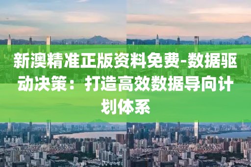 新澳精准正版资料免费-数据驱动决策：打造高效数据导向计划体系
