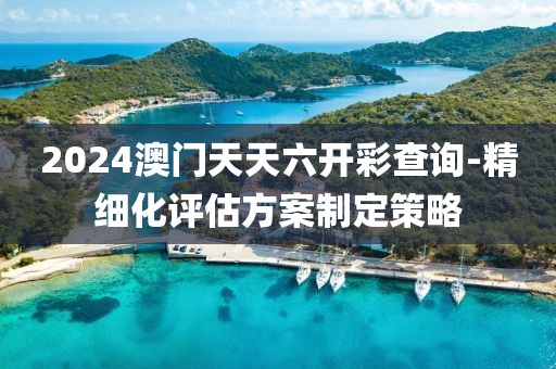 2024澳门天天六开彩查询-精细化评估方案制定策略