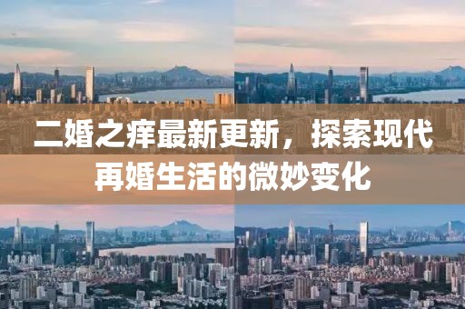 二婚之痒最新更新，探索现代再婚生活的微妙变化