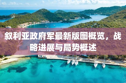 叙利亚政府军最新版图概览，战略进展与局势概述