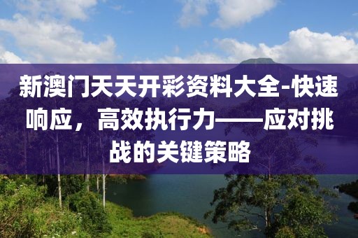 新澳门天天开彩资料大全-快速响应，高效执行力——应对挑战的关键策略