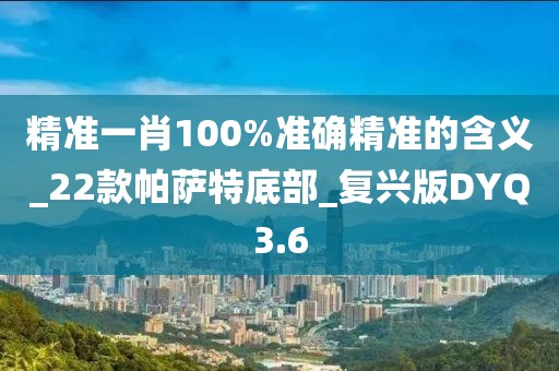精准一肖100%准确精准的含义_22款帕萨特底部_复兴版DYQ3.6