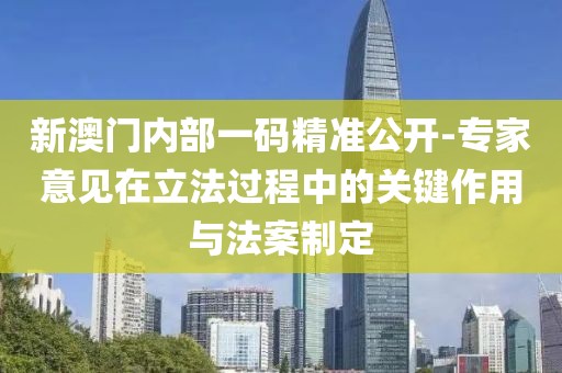 新澳门内部一码精准公开-专家意见在立法过程中的关键作用与法案制定