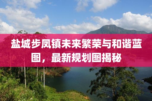盐城步凤镇未来繁荣与和谐蓝图，最新规划图揭秘