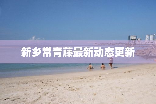 新乡常青藤最新动态更新