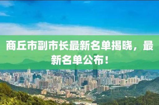 商丘市副市长最新名单揭晓，最新名单公布！
