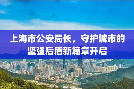 上海市公安局长，守护城市的坚强后盾新篇章开启