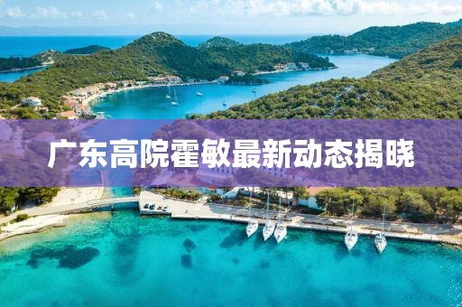 广东高院霍敏最新动态揭晓